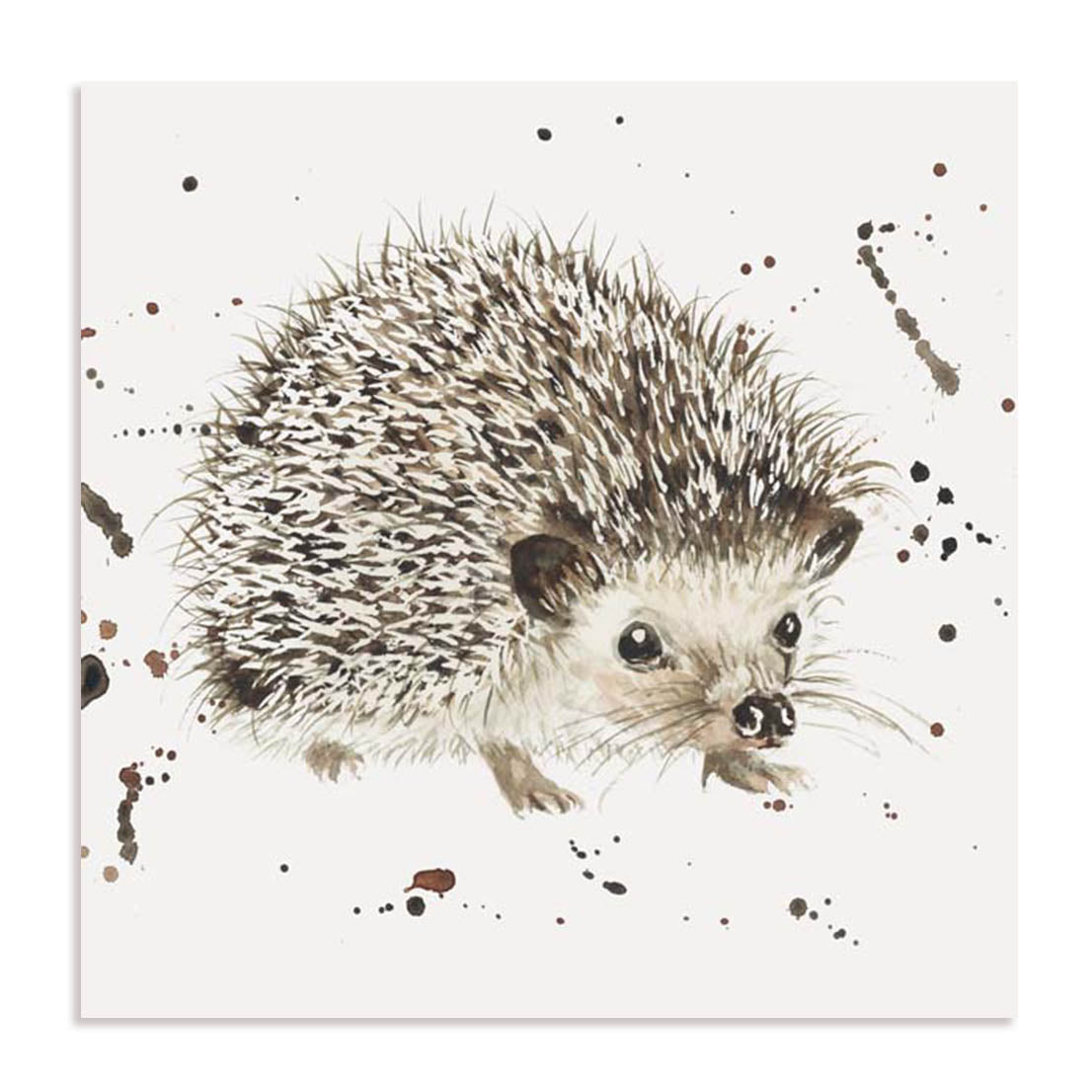 Hedgie Wall Art