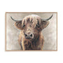 Baird Wall Art
