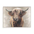 Baird Wall Art