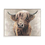 Baird Wall Art