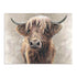 Baird Wall Art