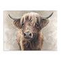 Baird Wall Art