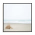 Moments In Nature Wall Art