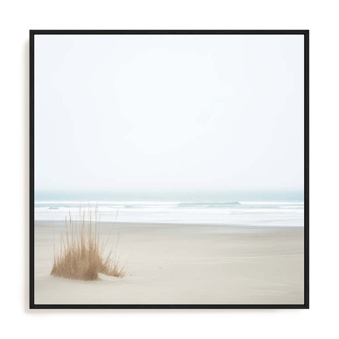 Moments In Nature Wall Art