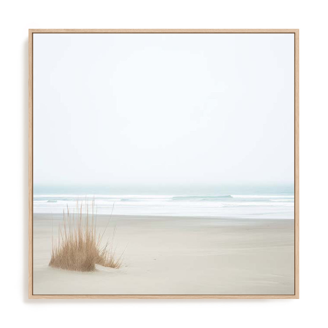Moments In Nature Wall Art