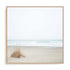 Moments In Nature Wall Art