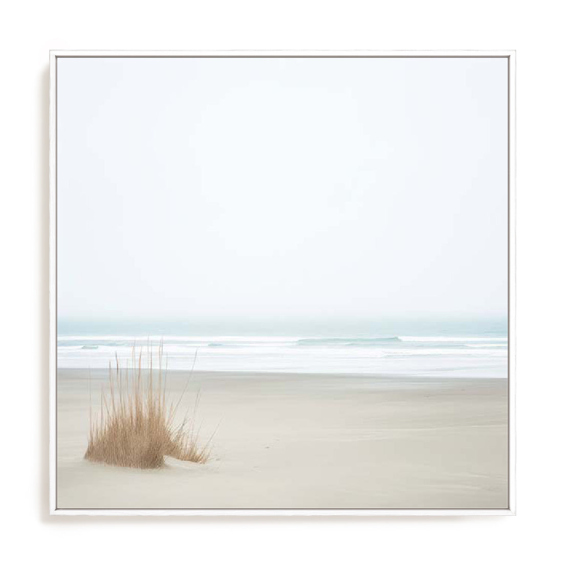 Moments In Nature Wall Art