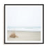 Moments In Nature Wall Art #oran_black-white-border