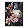 Highland Bouquet II Wall Art