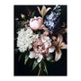 Highland Bouquet III Wall Art