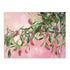 Wattle Whispers II Wall Art
