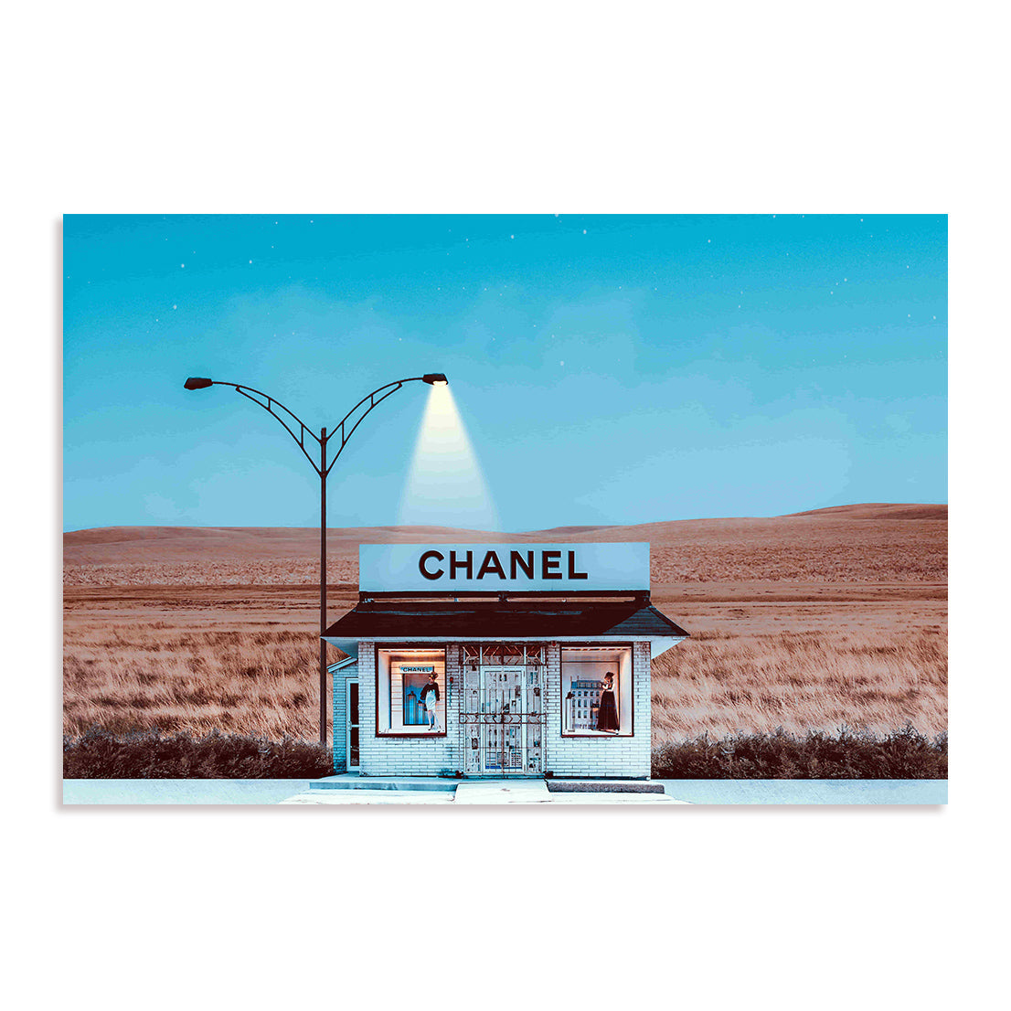 Isolated Opulence Wall Art