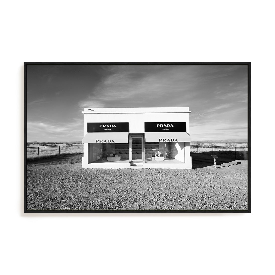 Desert Showcase Wall Art