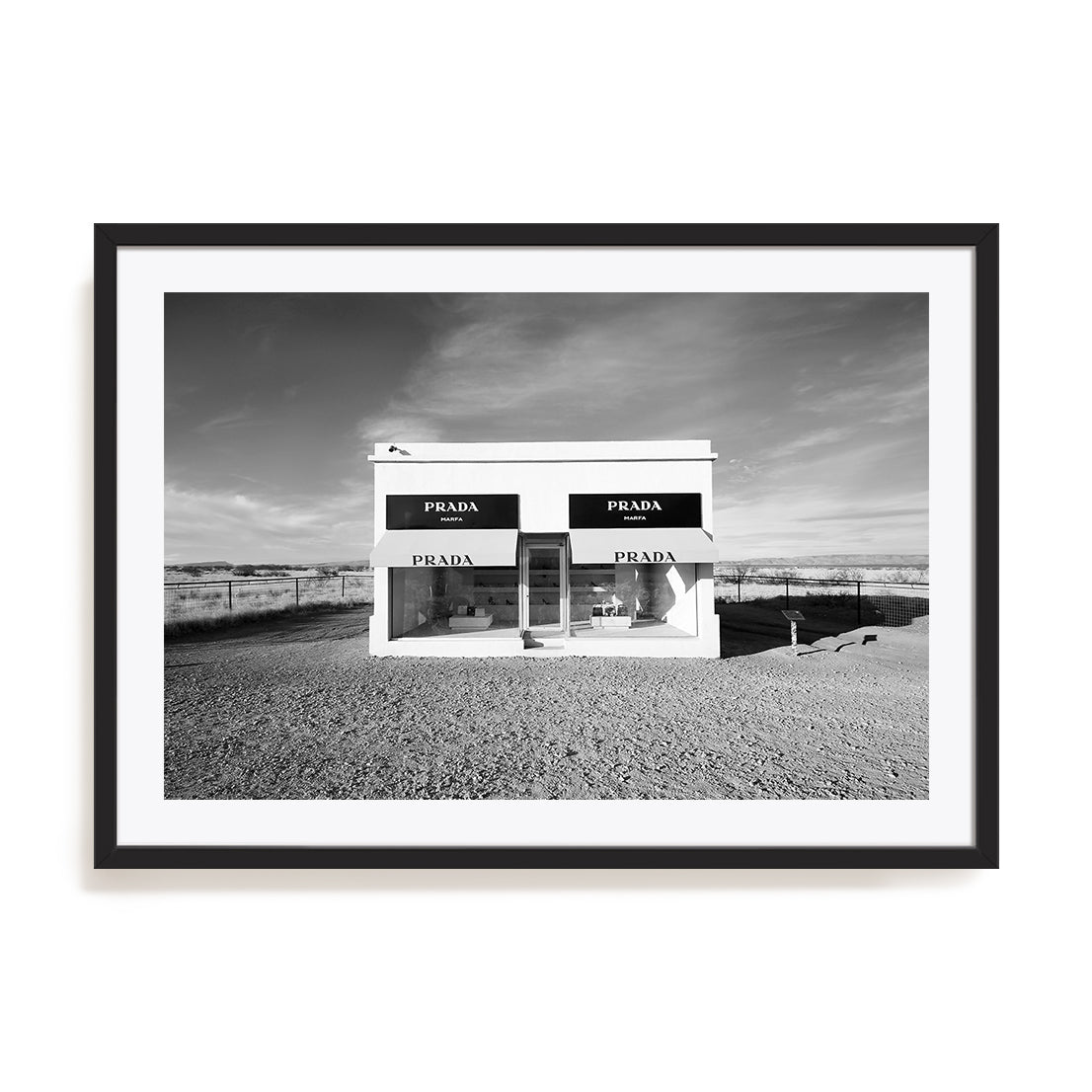 Desert Showcase Wall Art
