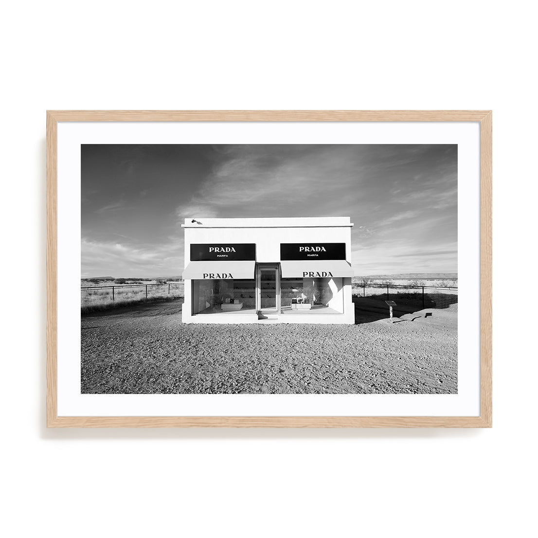 Desert Showcase Wall Art