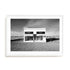 Desert Showcase Wall Art