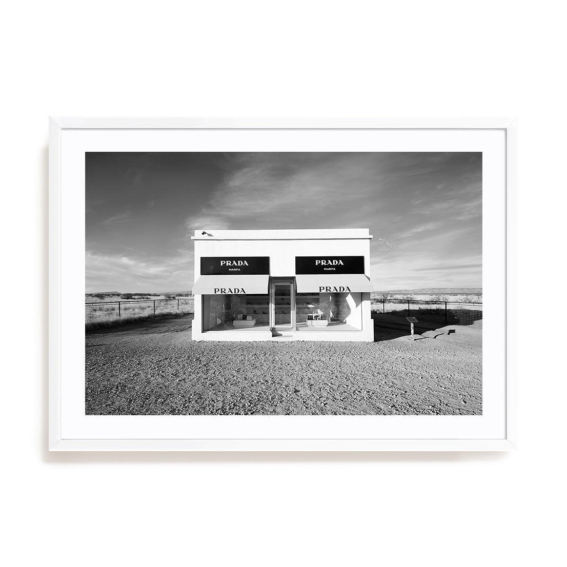 Desert Showcase Wall Art