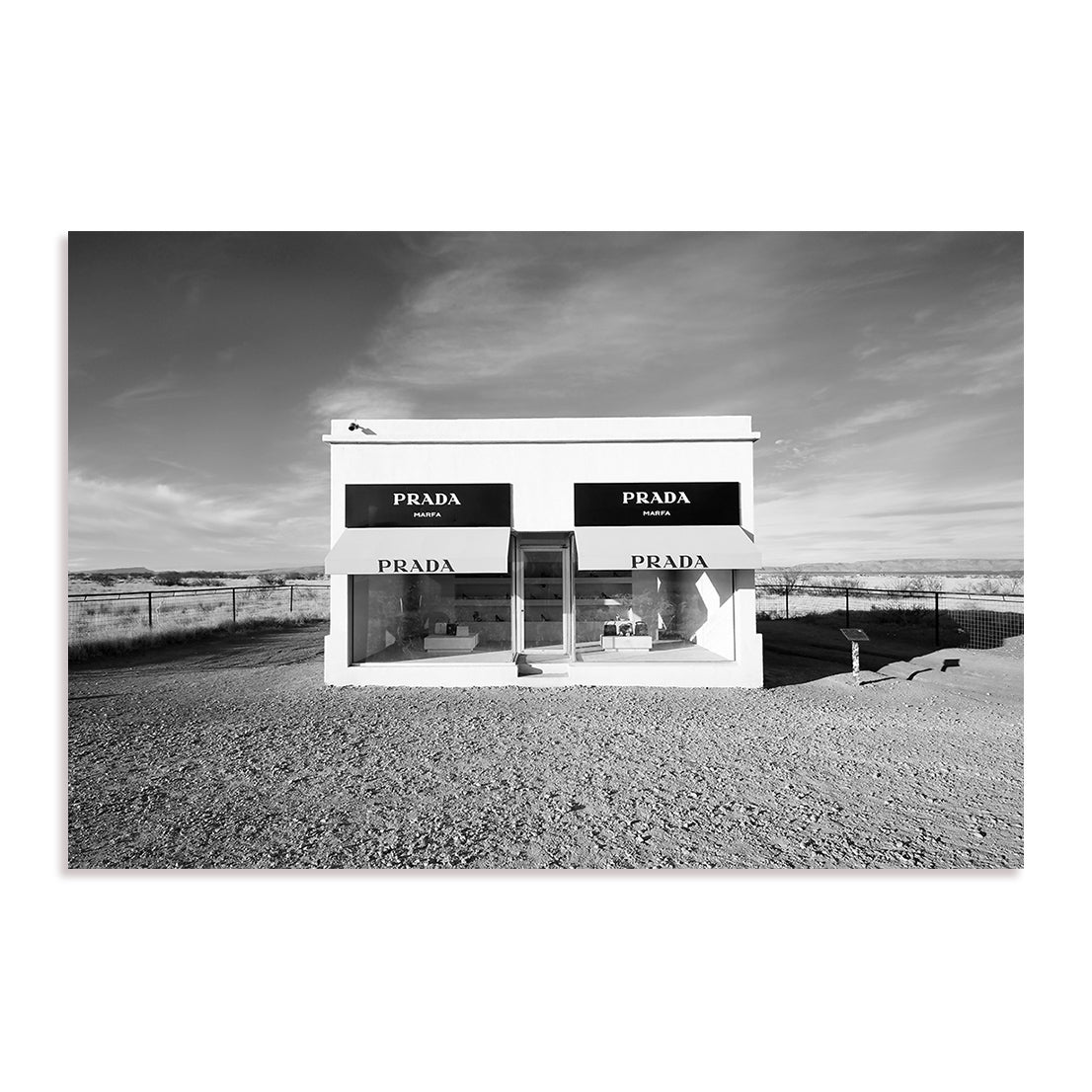 Desert Showcase Wall Art