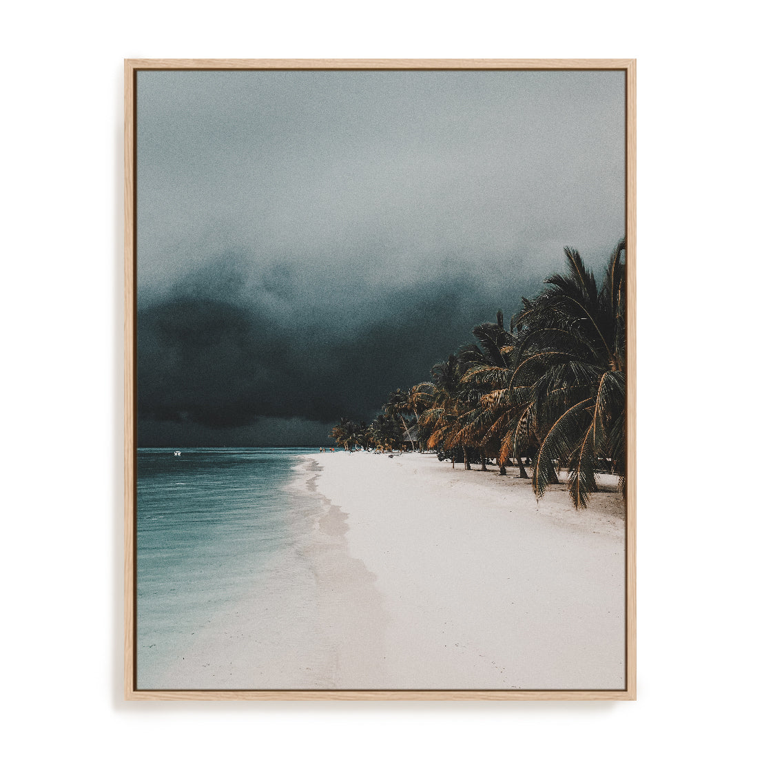 Tropical Storm Wall Art