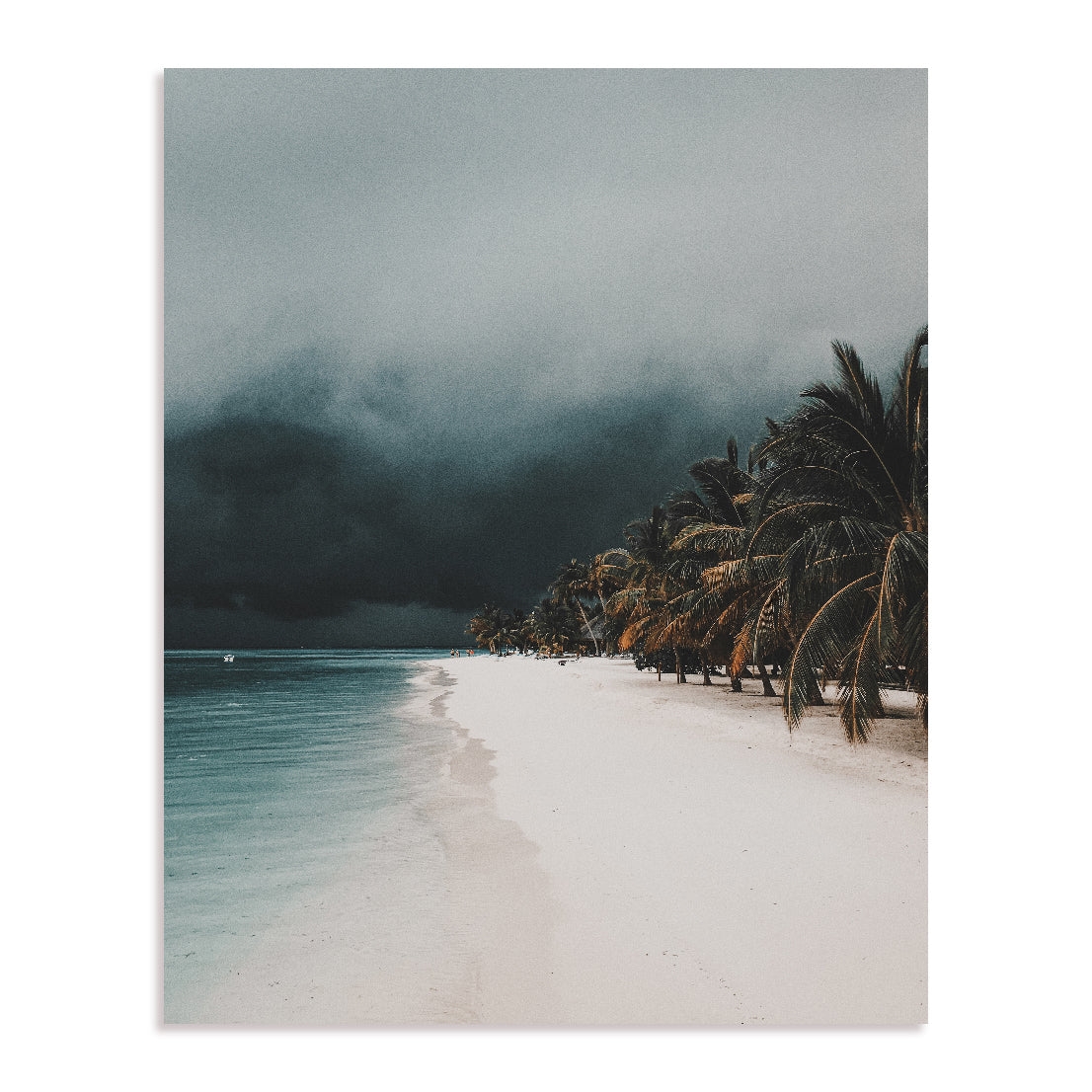 Tropical Storm Wall Art