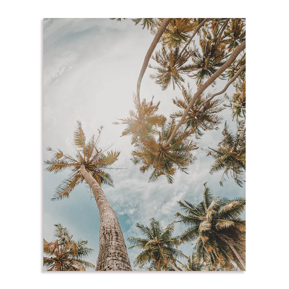 Cloudy Sky Wall Art
