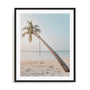 Swinging Palm Wall Art