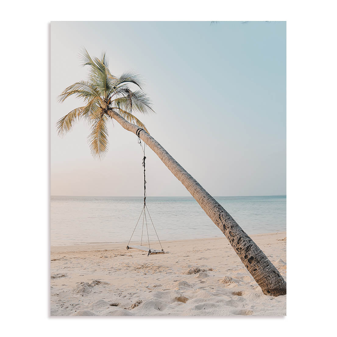 Swinging Palm Wall Art
