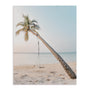 Swinging Palm Wall Art
