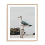 Sea Gull Wall Art