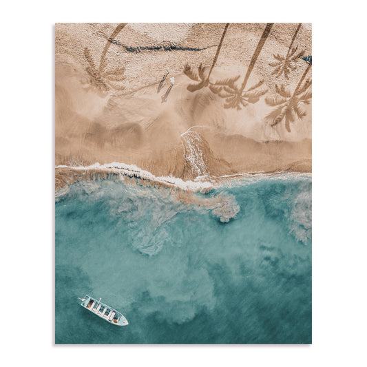 Palm Reflection Wall Art