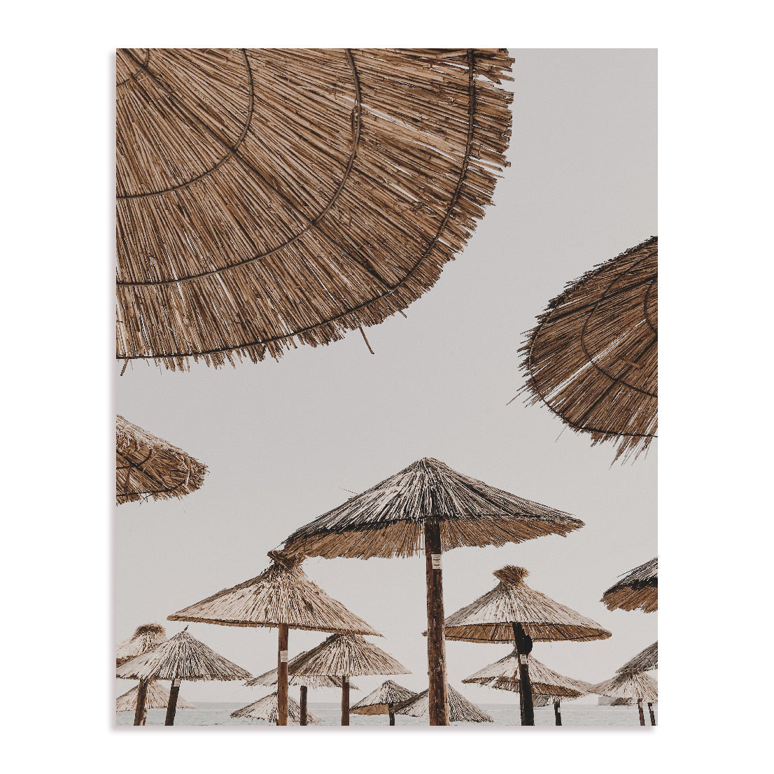 Beach Umbrellas Wall Art