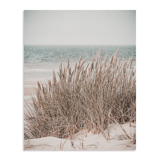 Coastal Seaweeds Wall Art