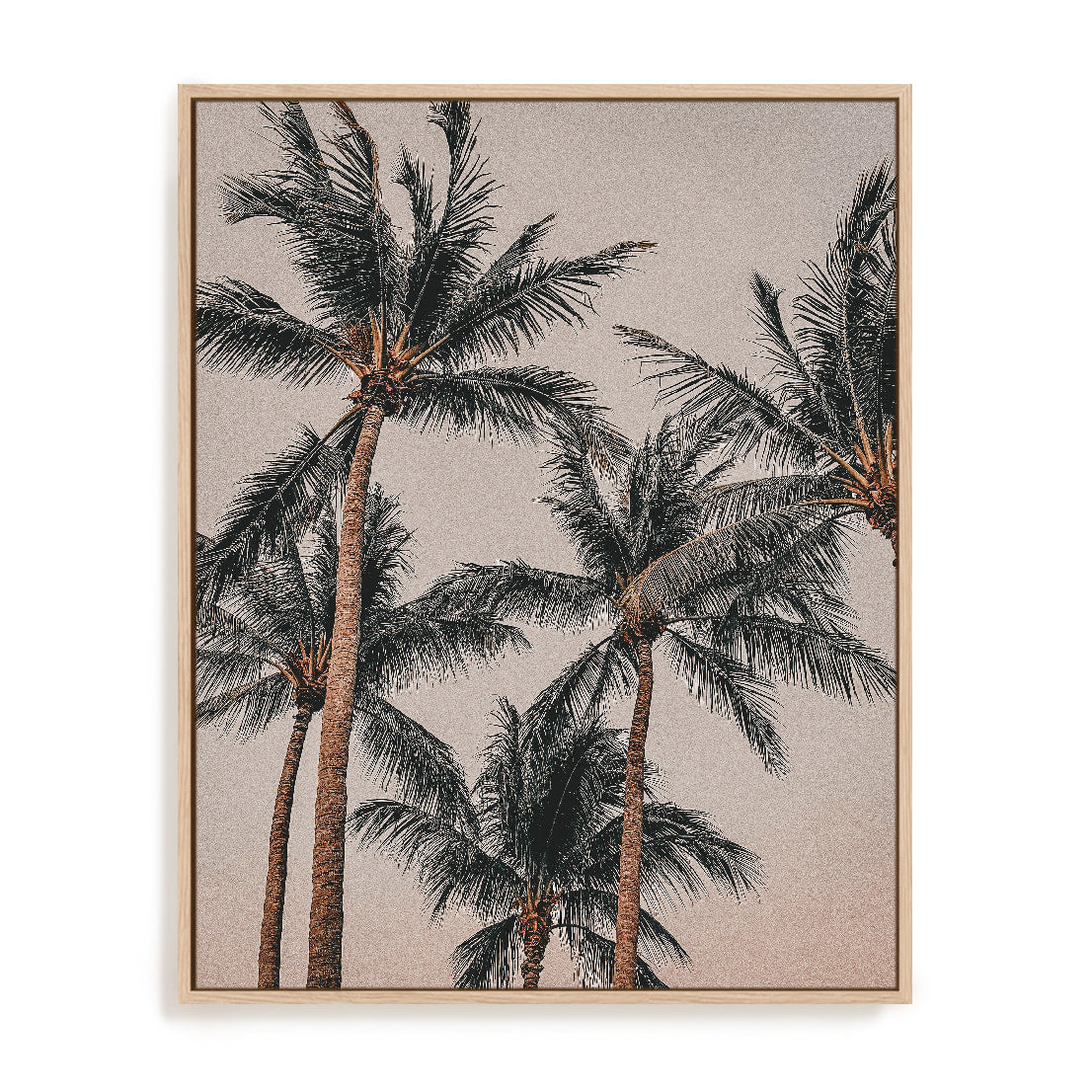 Dusky Palms Wall Art