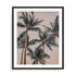 Dusky Palms Wall Art