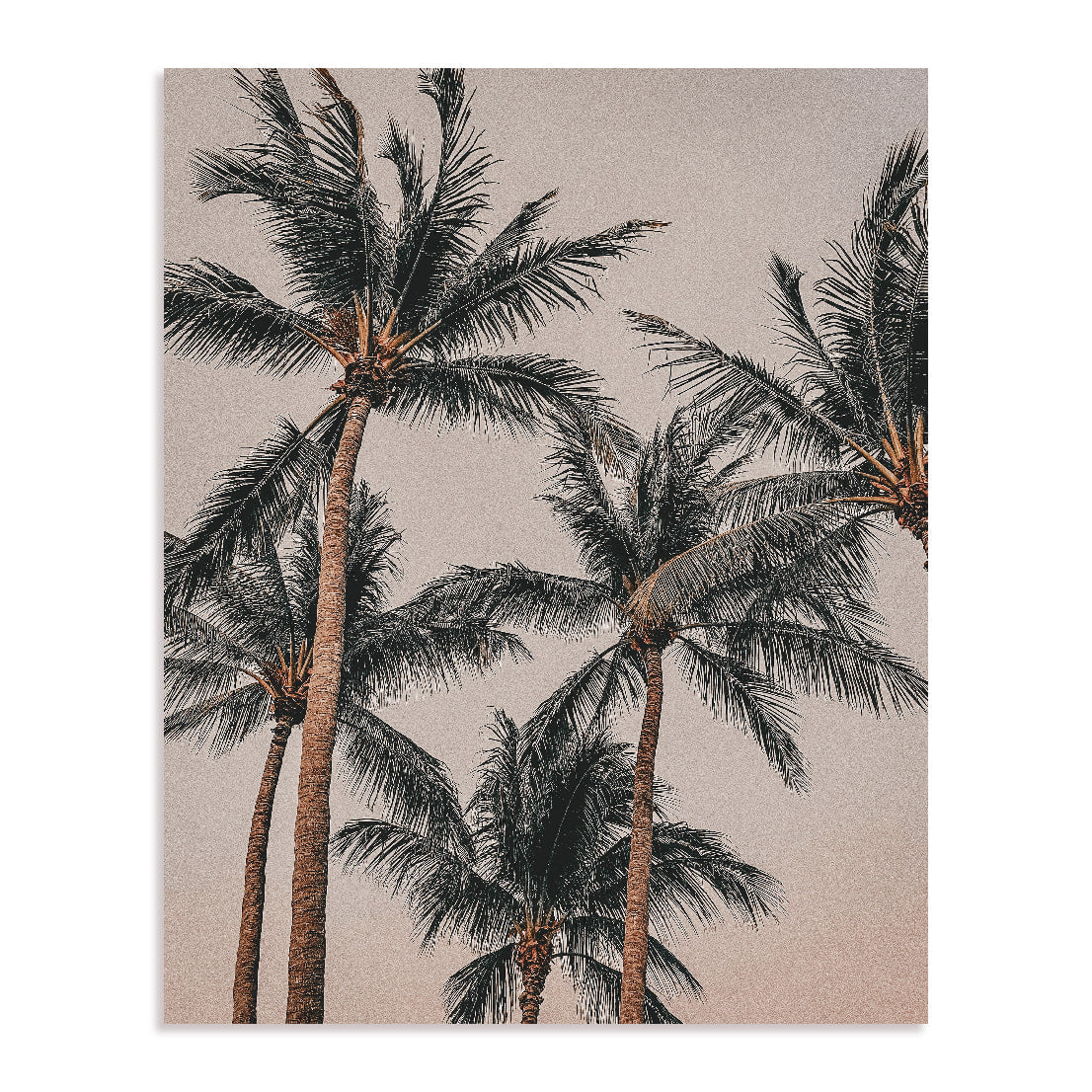 Dusky Palms Wall Art