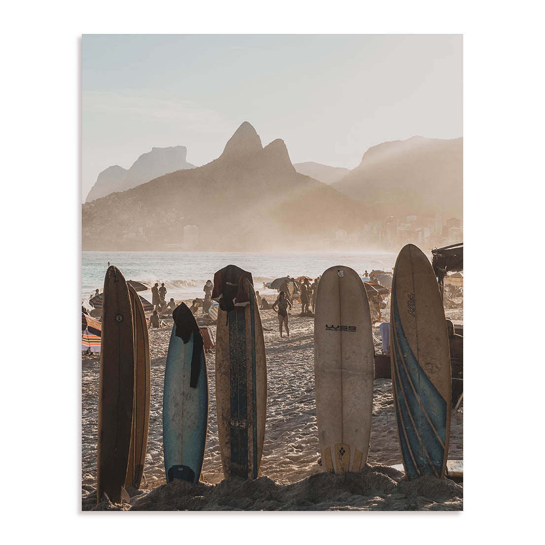 Blades In The Sun Wall Art