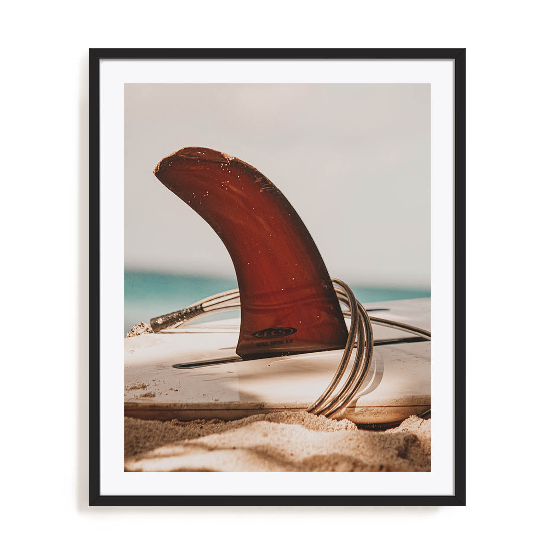 Fin Wall Art