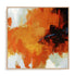 Red Tail II Wall Art