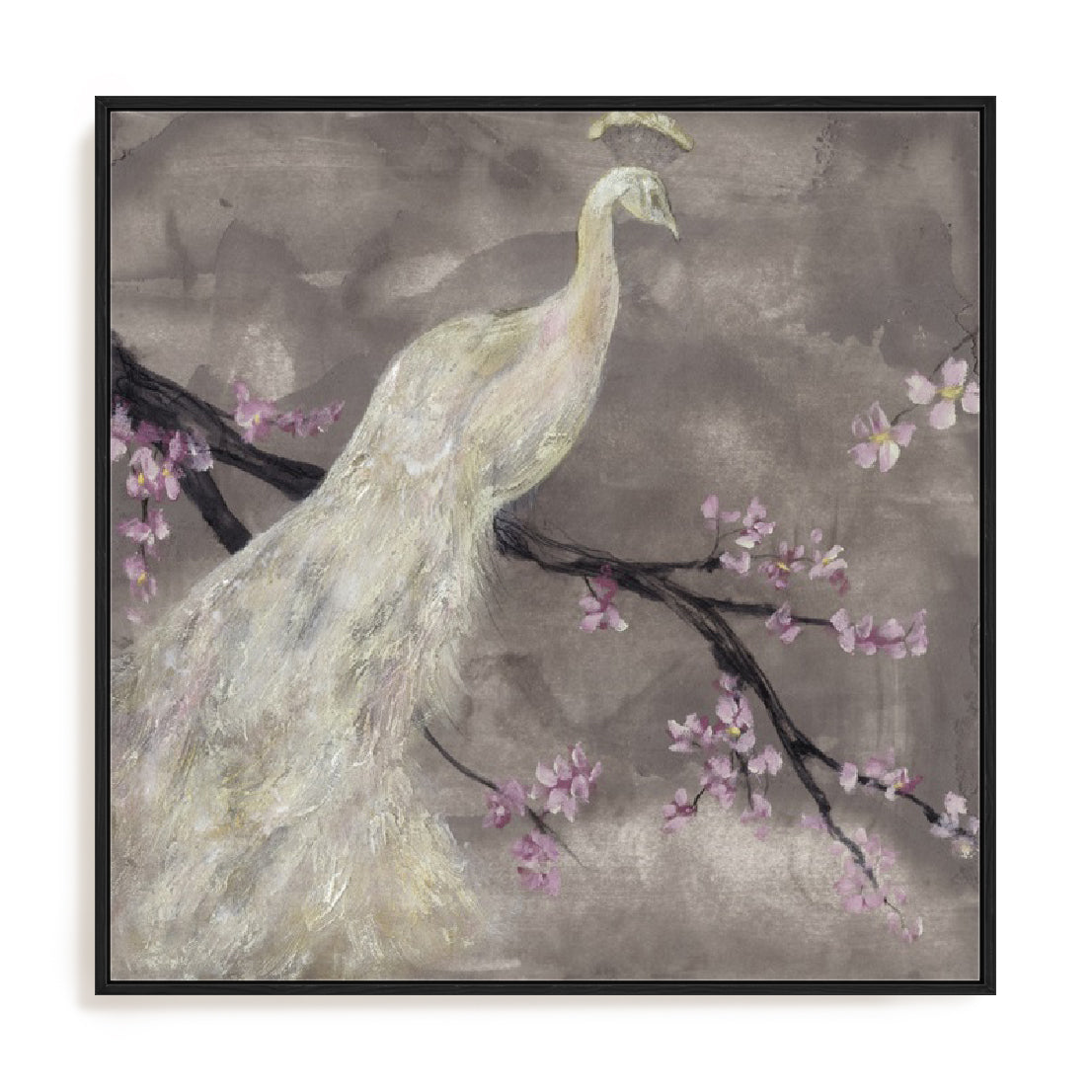 Peacock Serenity I Wall Art
