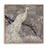 Peacock Serenity I Wall Art