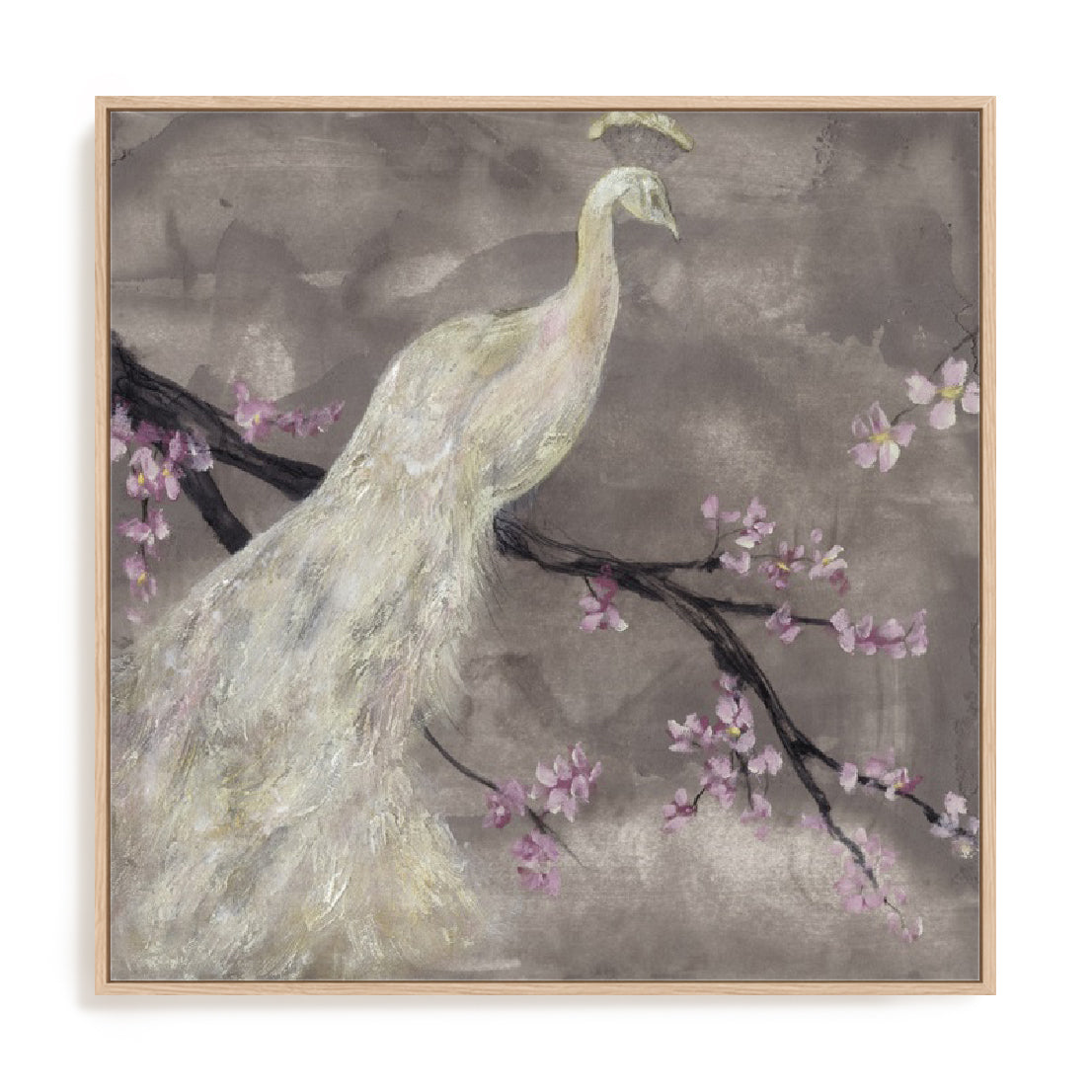 Peacock Serenity I Wall Art