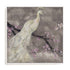 Peacock Serenity I Wall Art