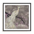 Peacock Serenity I Wall Art #oran_black-white-border