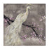 Peacock Serenity I Wall Art