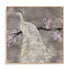 Peacock Serenity II Wall Art