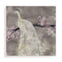 Peacock Serenity II Wall Art