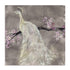 Peacock Serenity II Wall Art