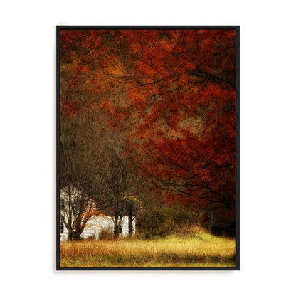 Beyond October's Maple