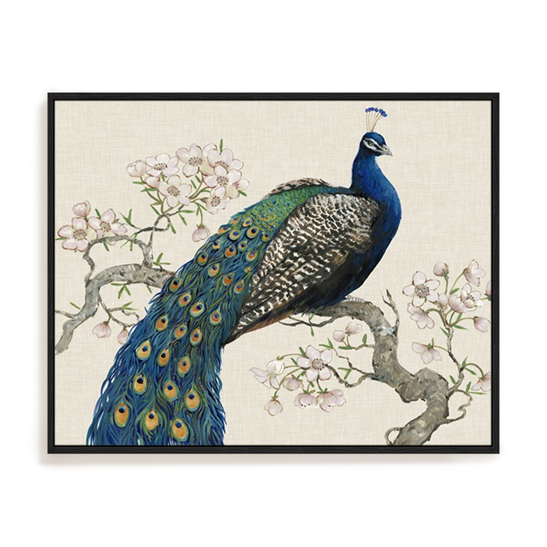 Peacock and Blossoms I