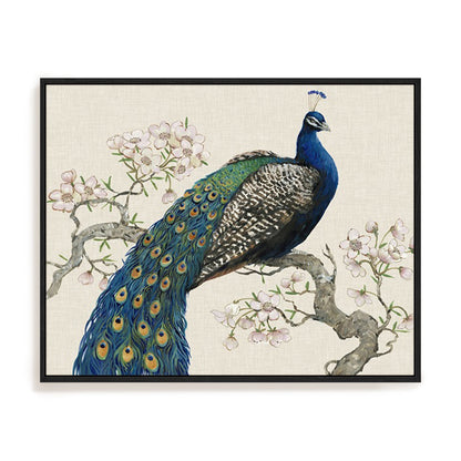 Peacock and Blossoms I